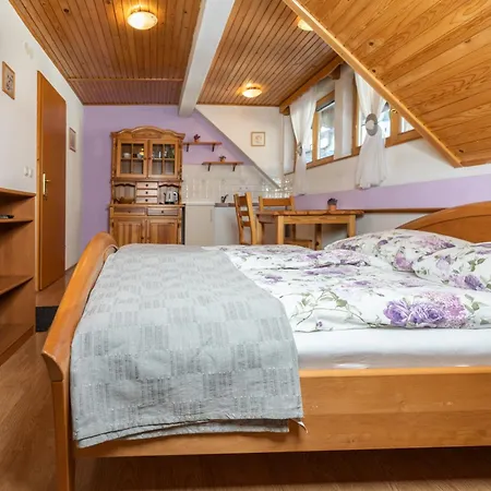 Apartments And Rooms Hodnik Slavko Bohinj Exterior photo