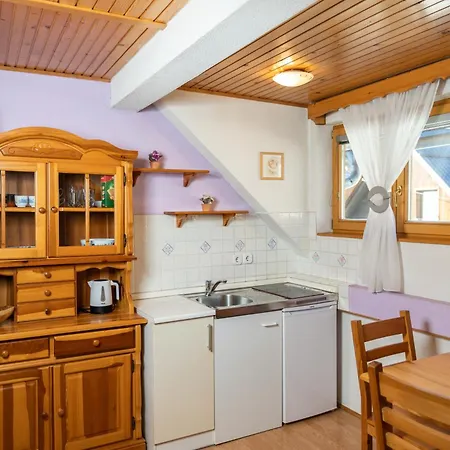Apartments And Rooms Hodnik Slavko Bohinj Exterior photo
