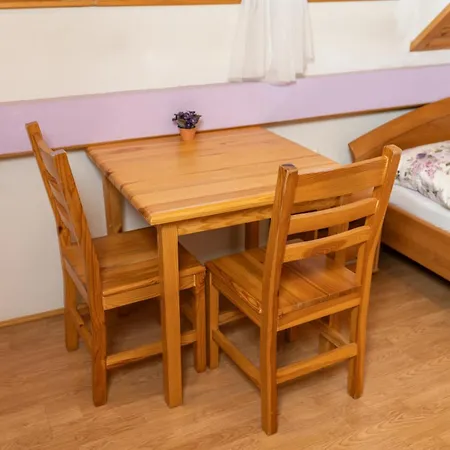 Apartments And Rooms Hodnik Slavko Bohinj Exterior photo