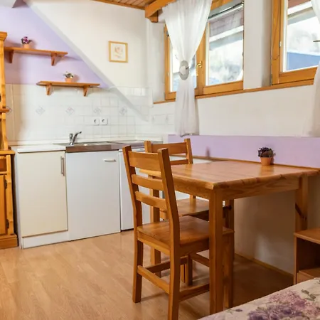 Apartments And Rooms Hodnik Slavko Bohinj Exterior photo