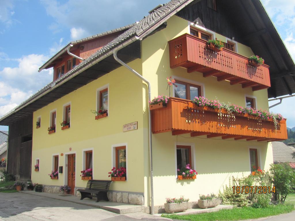 And Hodnik Slavko * Bohinj